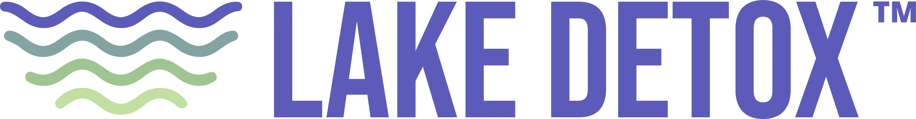 Lake Wellness Center logo