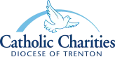 Project Free logo