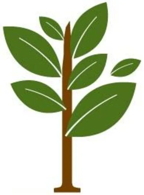 Envision Ohio logo
